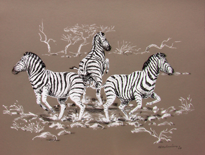 Bild Drei Zebras von Uli Aschenborn